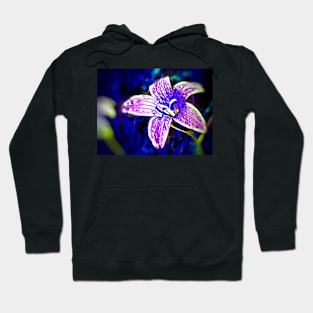 Bellflower Hoodie